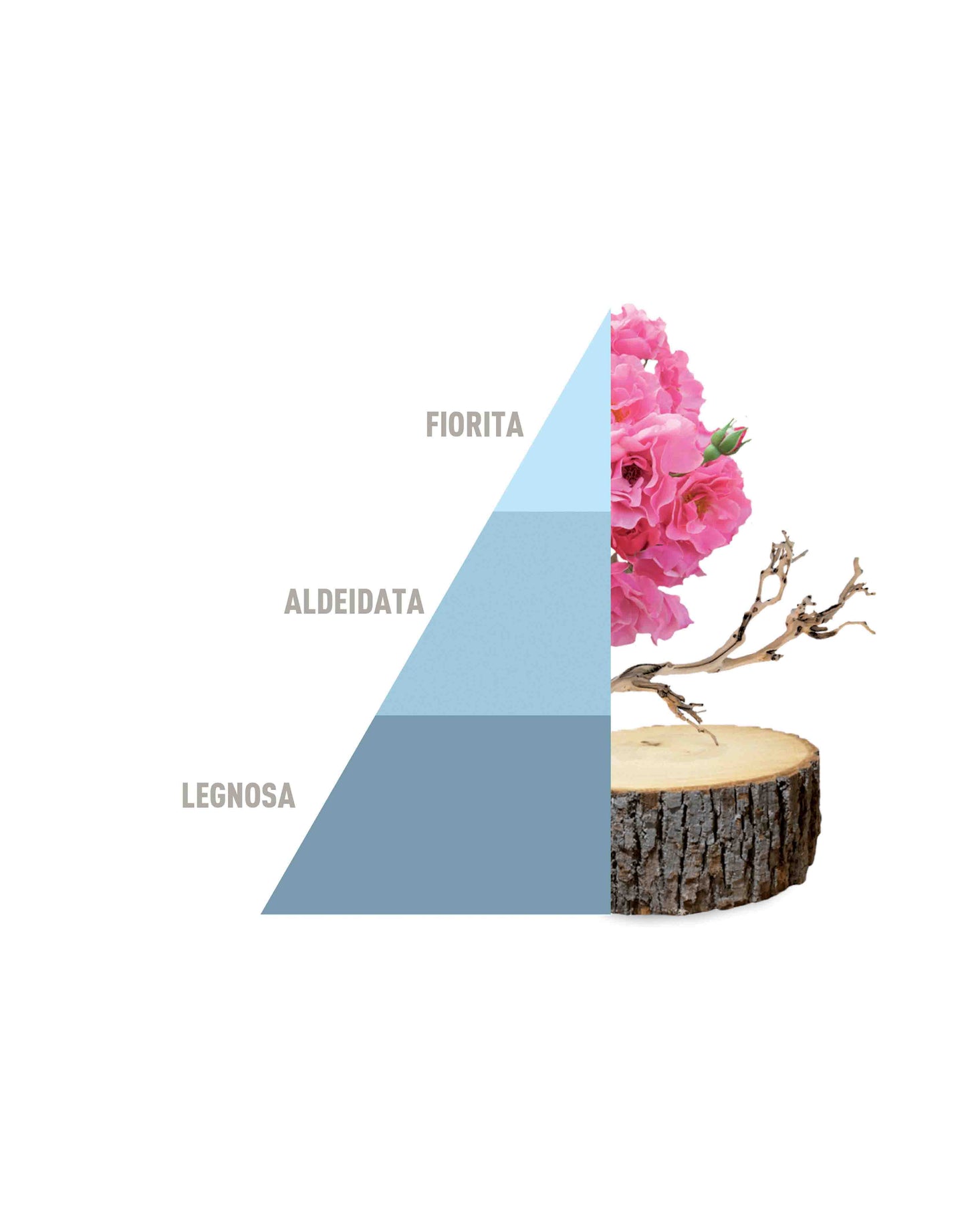 HOROMIA Deo Tessuti Spray Fresh cotton