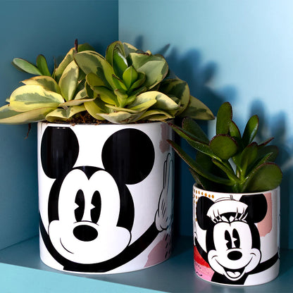 EGAN Vaso Mickey Mouse Tortora Enjoy 12x12 Cm