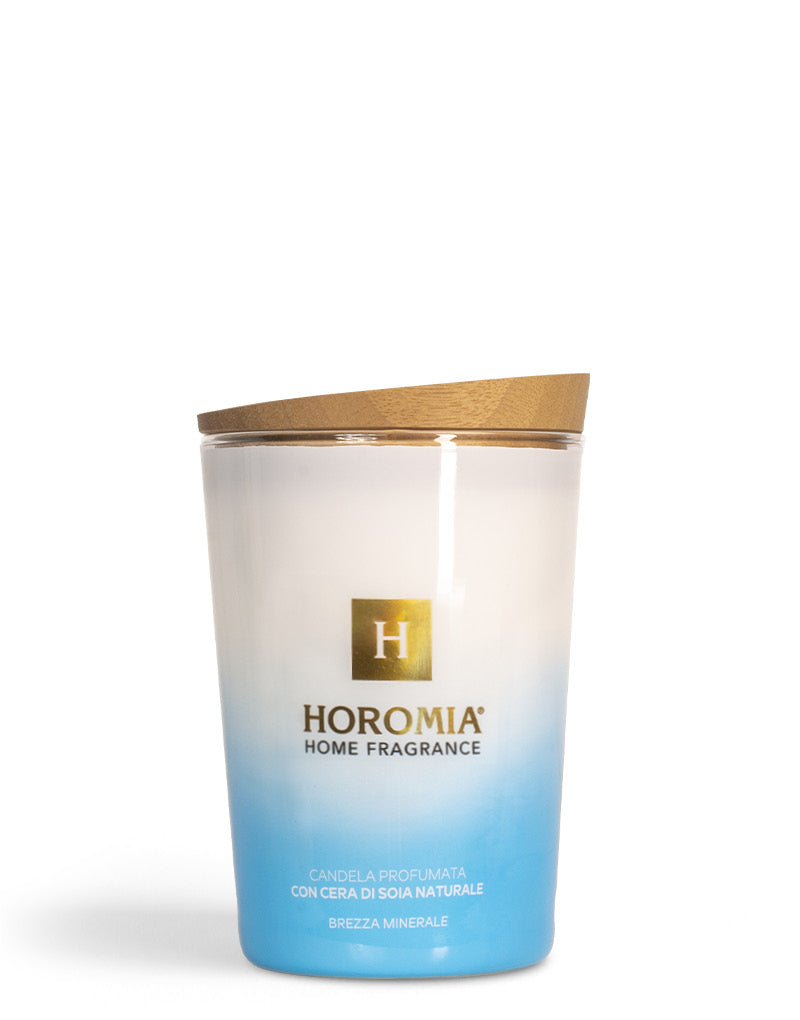 HOROMIA Candela Profumata Brezza minerale 350g
