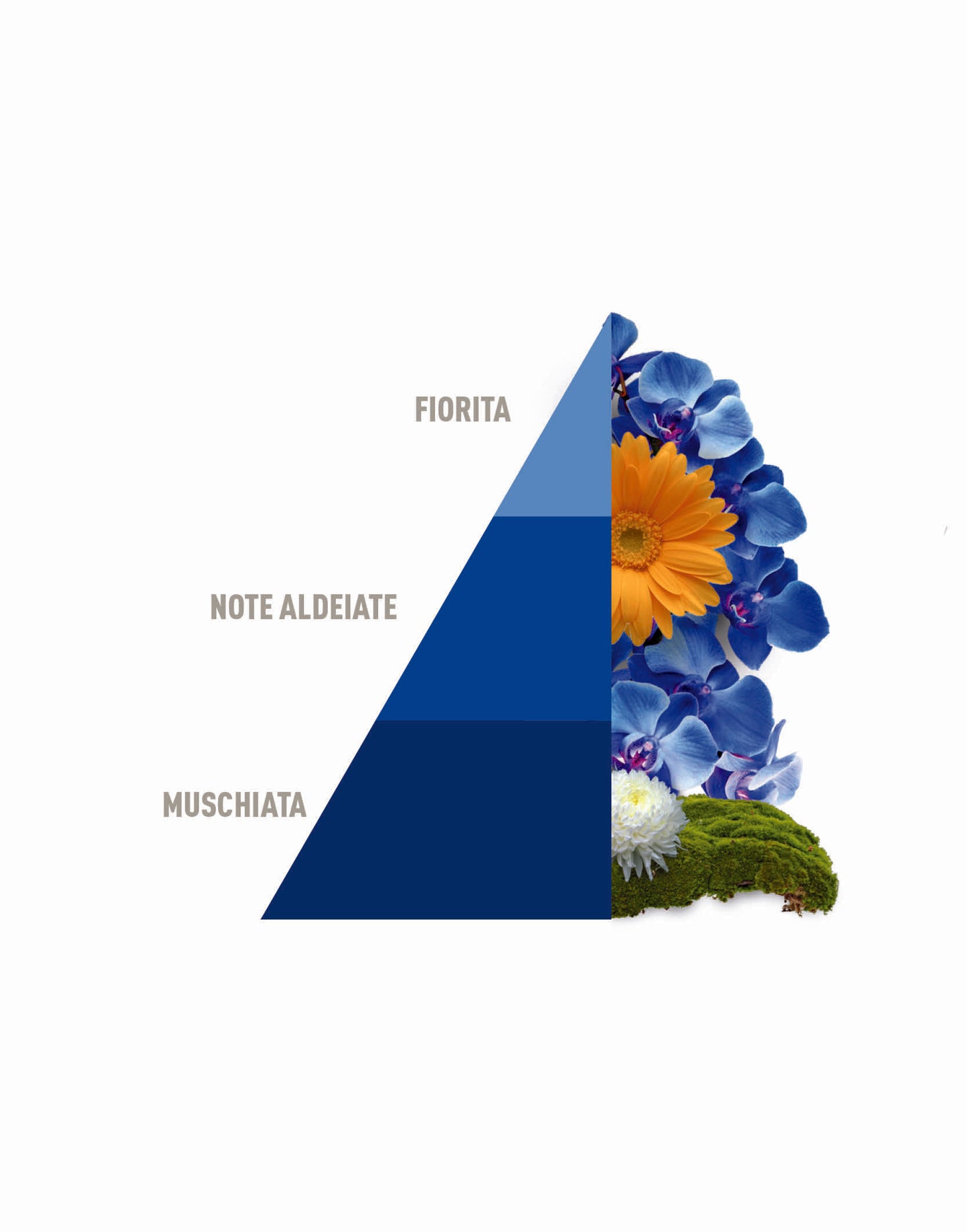 Horomia Profuma Bucato Blue 500ml