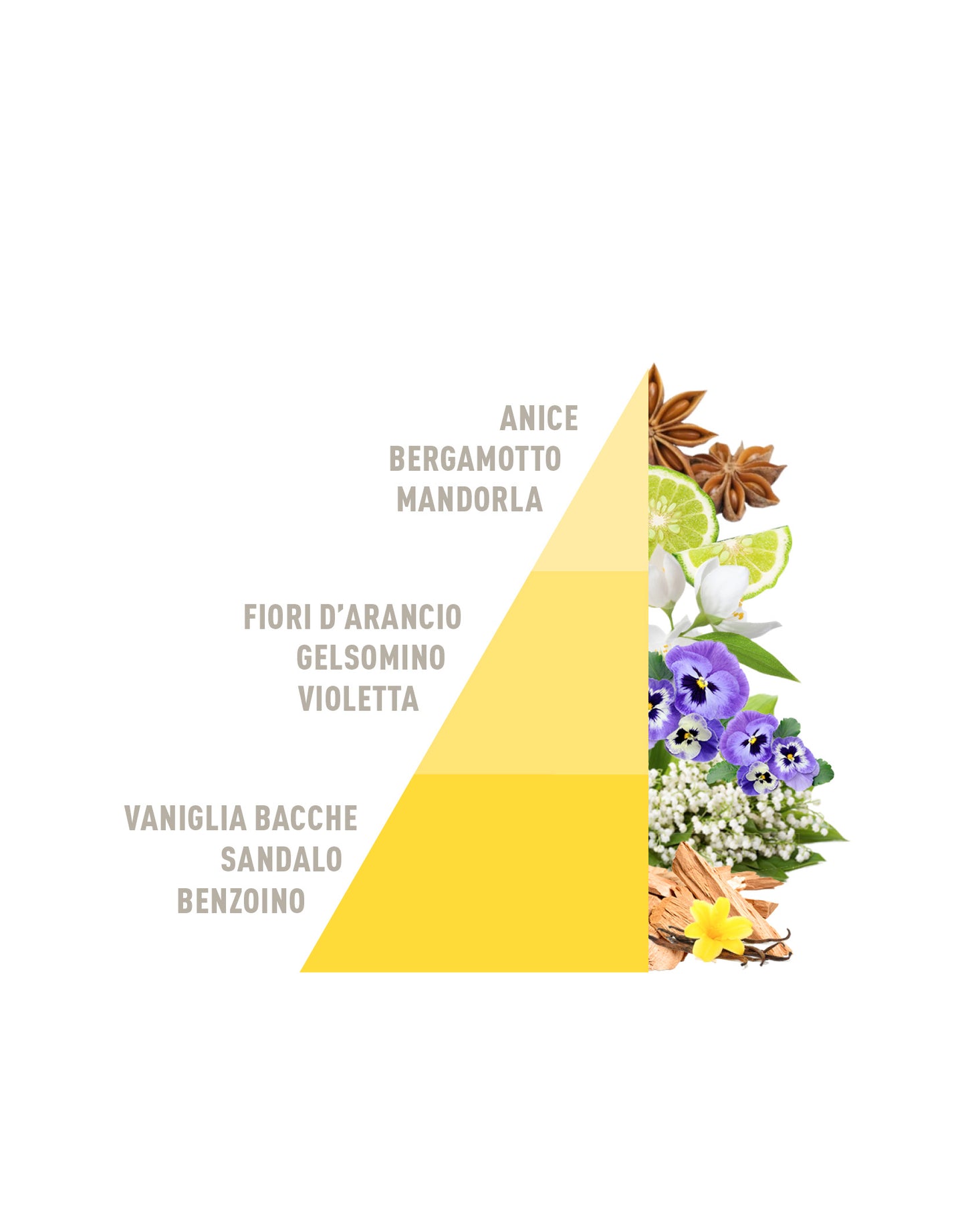 HOROMIA Candela Profumata Vaniglia e benzoino 350g