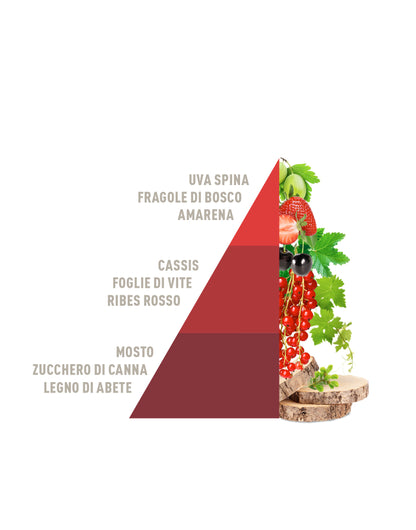 HOROMIA Diffusore a Bastoncini Vigneto rosso 200ml