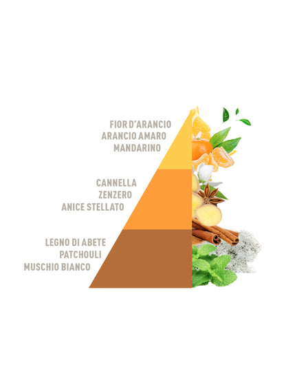 HOROMIA Candela Profumata Arancio e cannella 350g