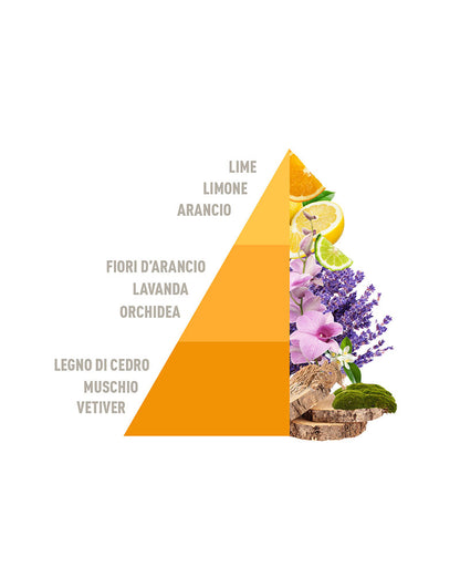 HOROMIA Ricarica per Diffusore a Bastoncini Lime & Vetiver 500ml